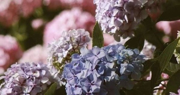 婴儿安抚毛绒布艺玩偶怎么选？功能对比与常见问题解答