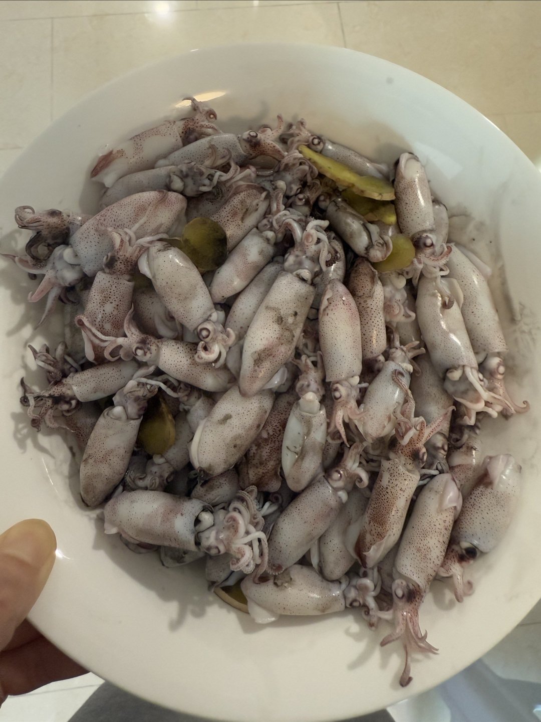 迷你鱿鱼仔:一口一个吃不够