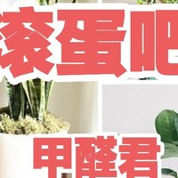 甲醛10种性价比去除方案！实用性超高，4000字讲透，拒绝智商税！