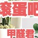 甲醛10种性价比去除方案！实用性超高，4000字讲透，拒绝智商税！