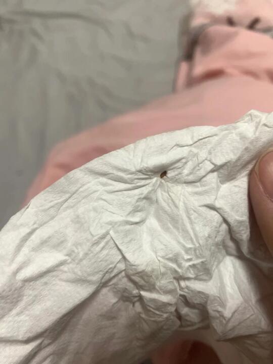 去了趟医院，体会了猫咪身上超干净的感觉.