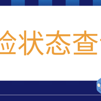 如何查看车辆的年检状态?以及年检的有效期截止时间?