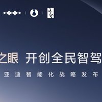  比亚迪的天神之眼高阶智驾，就“海鸥”也安排上了！