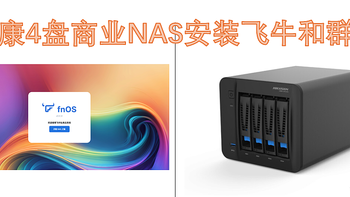 实战成品nas（海康H304）无显示安装飞牛和某晖