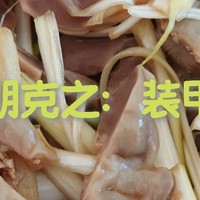 赛博朋克之：装甲鸡胗！！