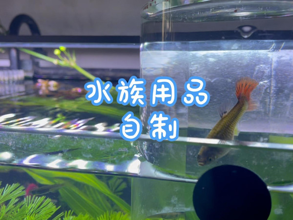水族用品自制2