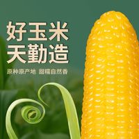 天勤粒粒净有机黄糯玉米，好吃都很