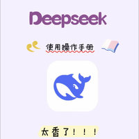 深挖DeepSeek功能,提升工作效率之使用技巧