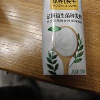 这样的法式酸奶，我每天都要喝