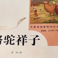 黑暗社会中人性的悲歌——《骆驼祥子》