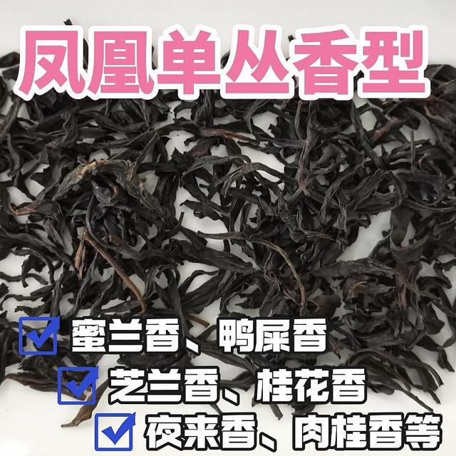 凤凰单丛十大香型哪种好喝？鸭屎香、蜜兰香较受欢迎