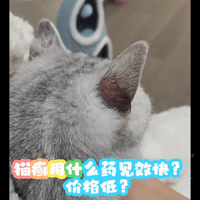 猫癣用什么药见效快？价格低？