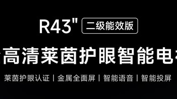 百元价位性价比之王！Vidda海信电视R43