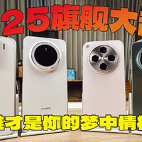 2025旗舰机终极大乱斗谁才是你的梦中情机？