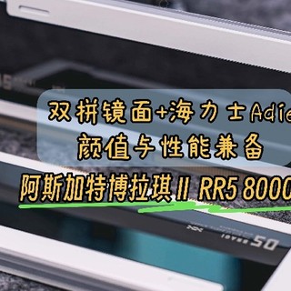 阿斯加特博拉琪 II 代 DDR5 内存：颜值与性能兼备的电竞神器