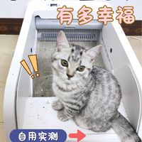 cewey开放式自动猫砂盆：小户型养猫加懒人