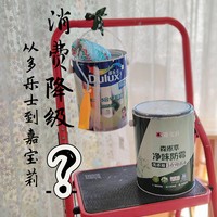 墙面乳胶漆，从多乐士到嘉宝莉，消费真的降级了吗？