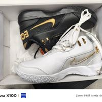 Zoom LeBron NXXT Gen，速度与激情的完美结合？