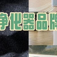 空气净化器怎么选？物美价廉的10款空气净化器品牌种草！