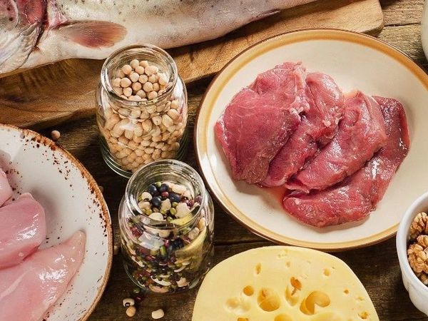 哪种涨肌肉效果更好：完整蛋白质 or 氨基酸？