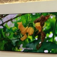 【真实体验分享】TCL C11K 灵悉 QD-Mini LED 电视