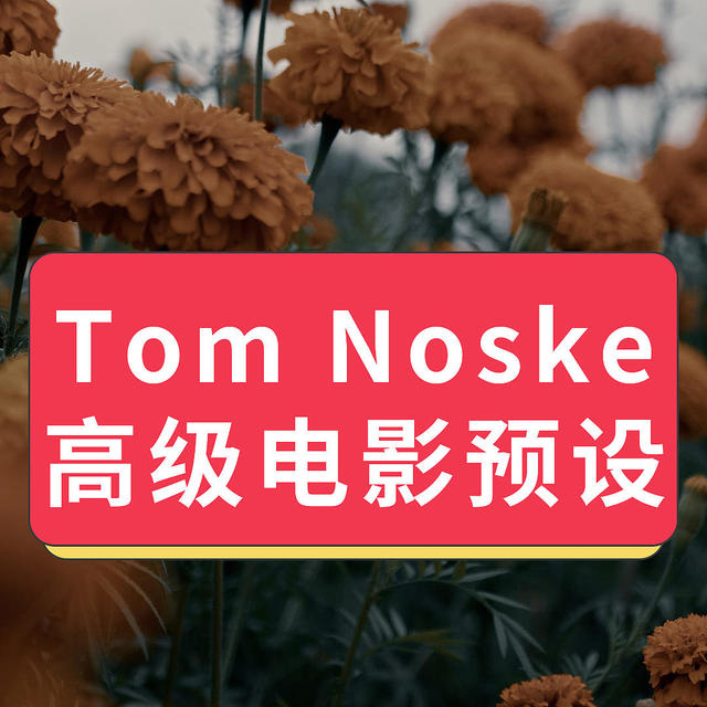 阿莱RED索尼摄影师电影制片人Tom Noske电影感lut调色预设