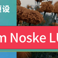 阿莱RED索尼摄影师电影制片人Tom Noske电影感lut调色预设