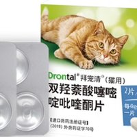 【八年铲屎官强推】拜宠清：守护猫咪健康的驱虫必备神器！💊  