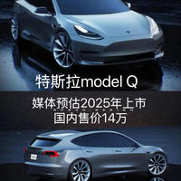 特斯拉Model Q入门级SUV强势来袭，国产新能源车迎来新挑战