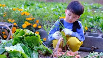 普通家庭怎样可以给孩子一个快乐的童年【80后看沉默了】