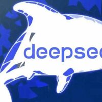 深度探索DeepSeek，开启高效新体验