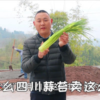 四川蒜苔卖那么贵，和北方的蒜苔有什么区别