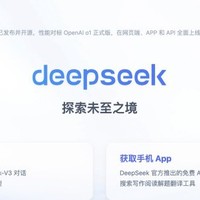 Deepseek官网 - AI搜索引擎 - Deepseek中文官网 - DeepSeek平替