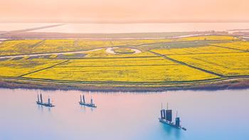 江浙沪15个私藏花海！世界三大赏樱圣地、40万株郁金香、水上油菜花...今年春日计划，安排上！ 