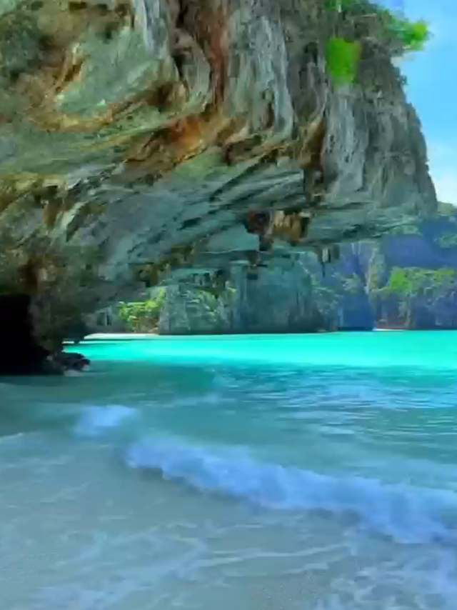 东方佳人，你为何如此迷人？