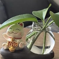 创意桌面，这只招财猫摆件萌翻我桌面