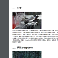 DeepSeek从入门到精通：大语言模型技术及其应用指南