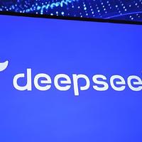 一个问题，区分真假满血版DeepSeek