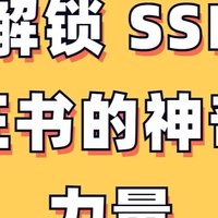 为什么你的网站必须安装SSL证书？从业者揭秘HTTPS背后的安全逻辑