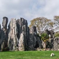 错峰旅游目的地推荐~昆明