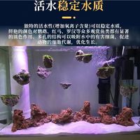 🐟水族箱造景必备！冉逸火山石绝绝子